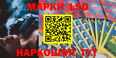 apvp Можга