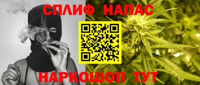 тгк Моздок