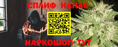 apvp Можга