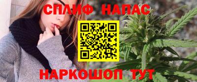 apvp Можга