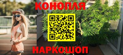 apvp Можга