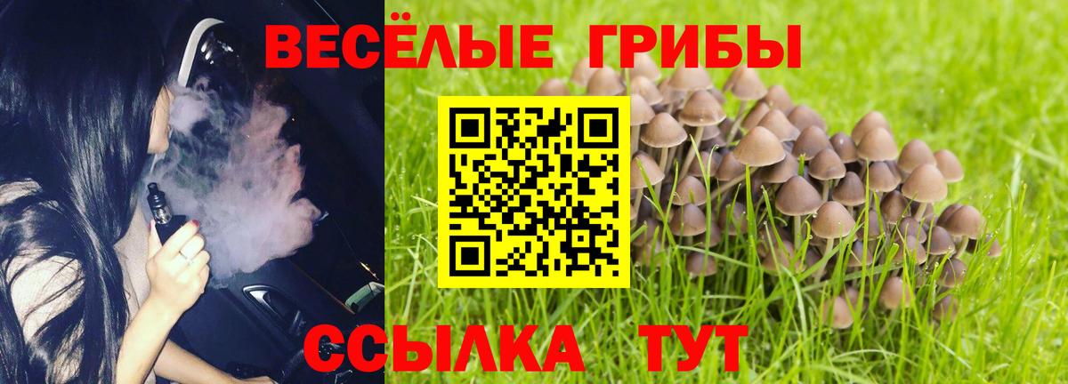 Галлюциногенные грибы Cubensis  где купить   Урай  Вход с VPN 